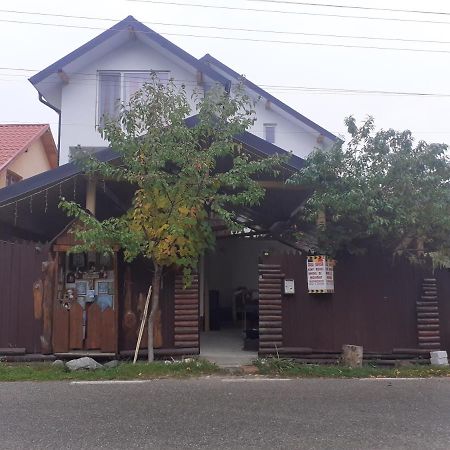 Casa Denisa Vidraru Transfgarasan Hotel Capatineni-Ungureni Luaran gambar