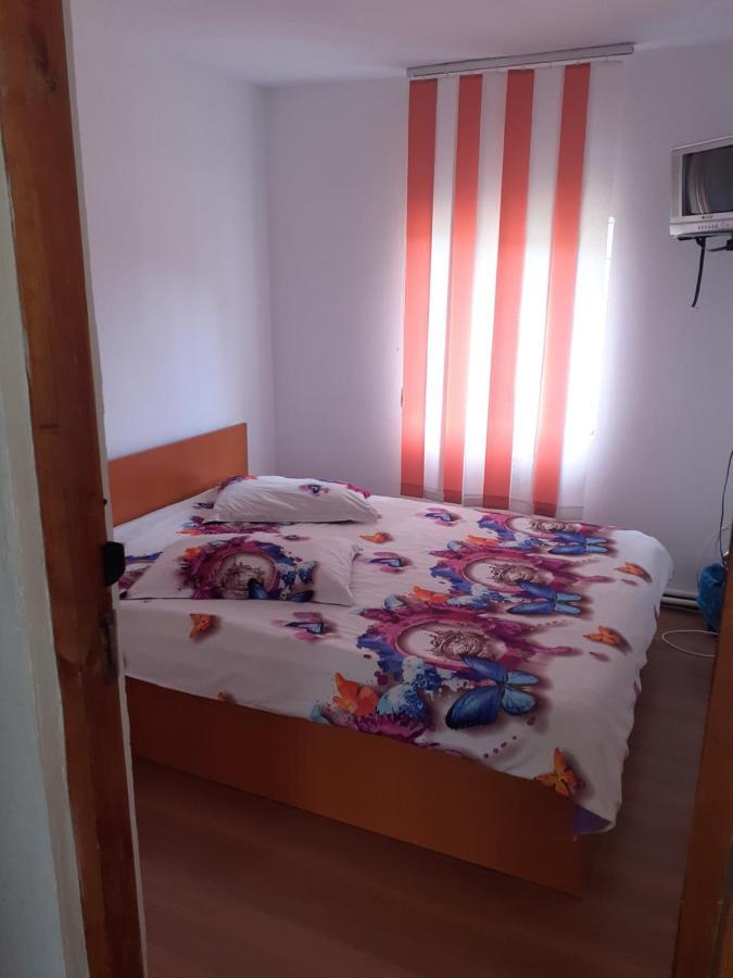 Casa Denisa Vidraru Transfgarasan Hotel Capatineni-Ungureni Luaran gambar