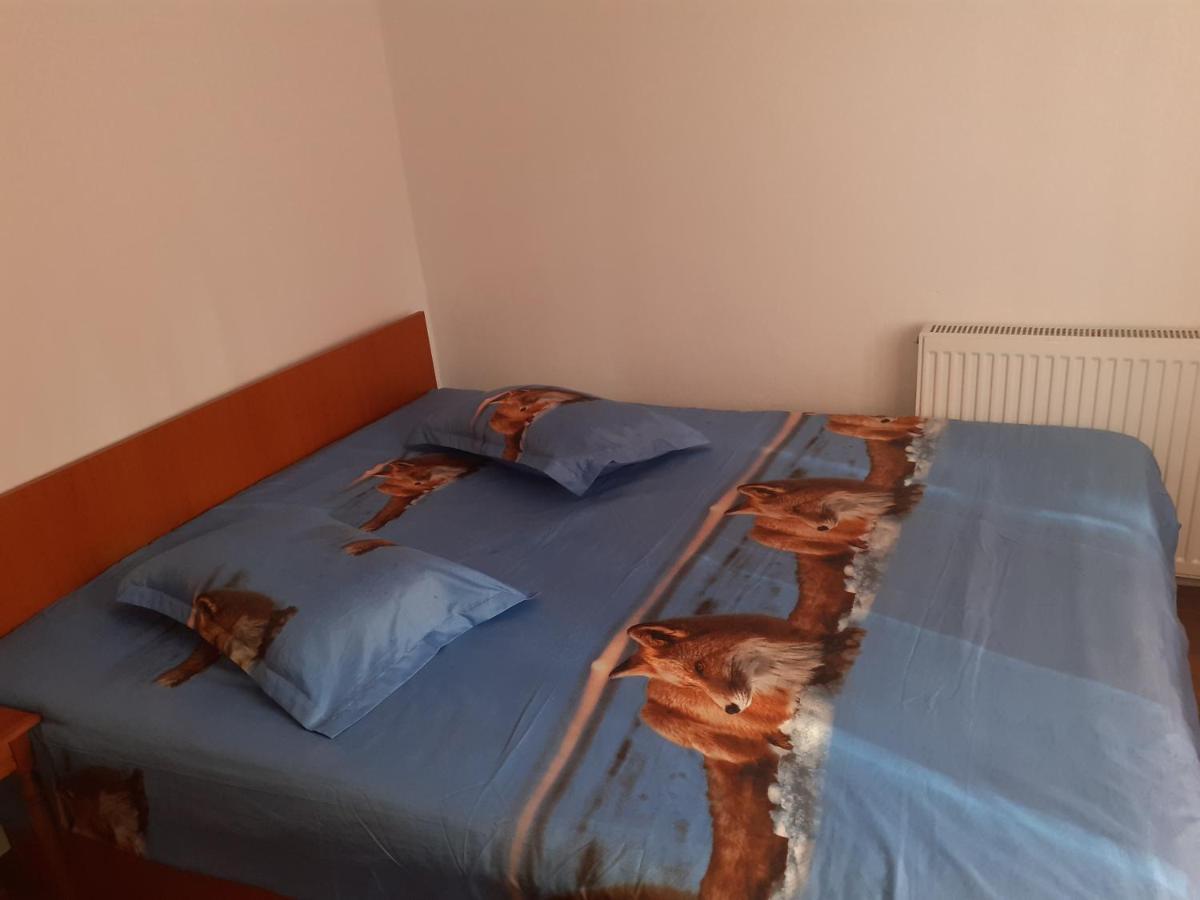 Casa Denisa Vidraru Transfgarasan Hotel Capatineni-Ungureni Luaran gambar