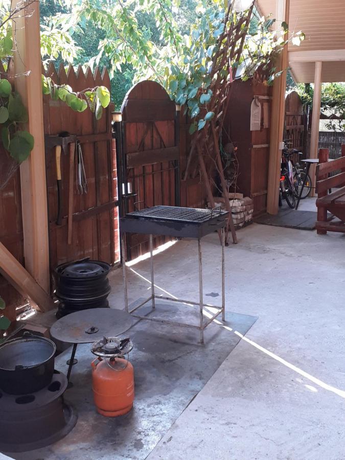 Casa Denisa Vidraru Transfgarasan Hotel Capatineni-Ungureni Luaran gambar