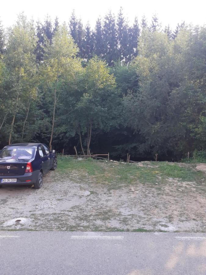 Casa Denisa Vidraru Transfgarasan Hotel Capatineni-Ungureni Luaran gambar