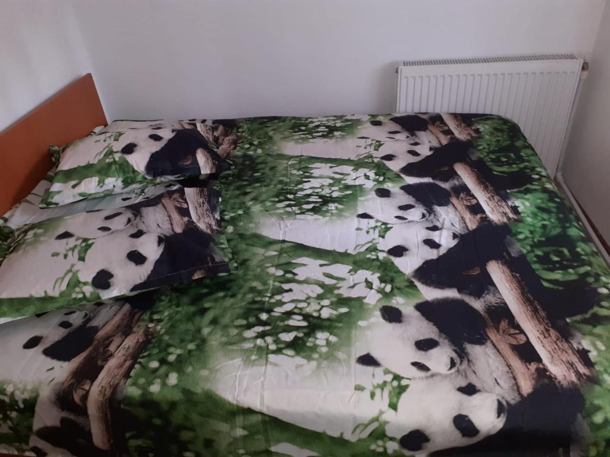 Casa Denisa Vidraru Transfgarasan Hotel Capatineni-Ungureni Luaran gambar